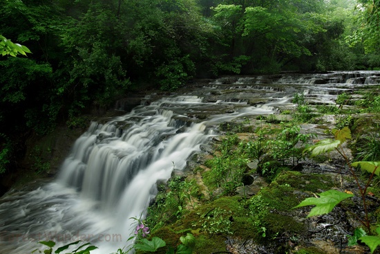 Fallsville Wildlife Area waterfall