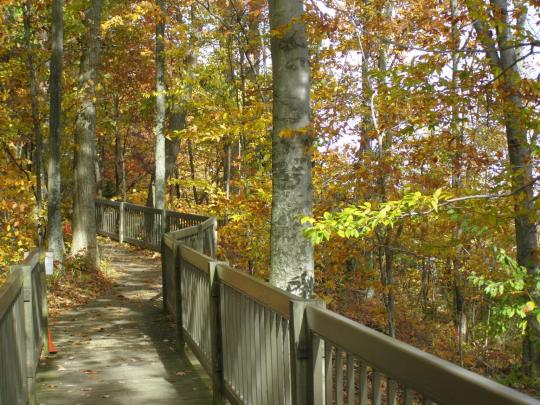 Caesar Creek State Park boardwalk
