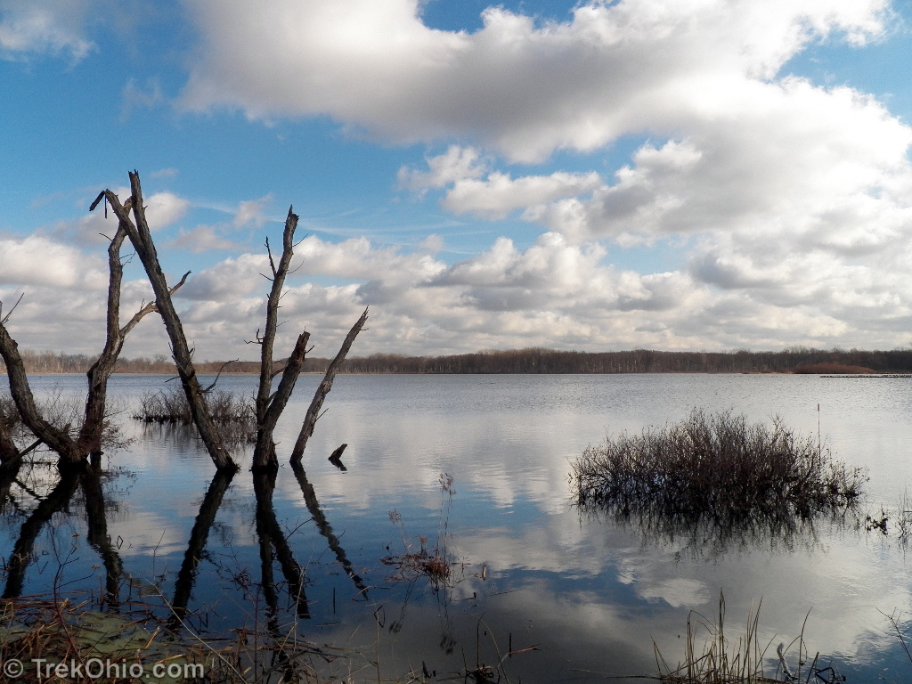 Killbuck Marsh