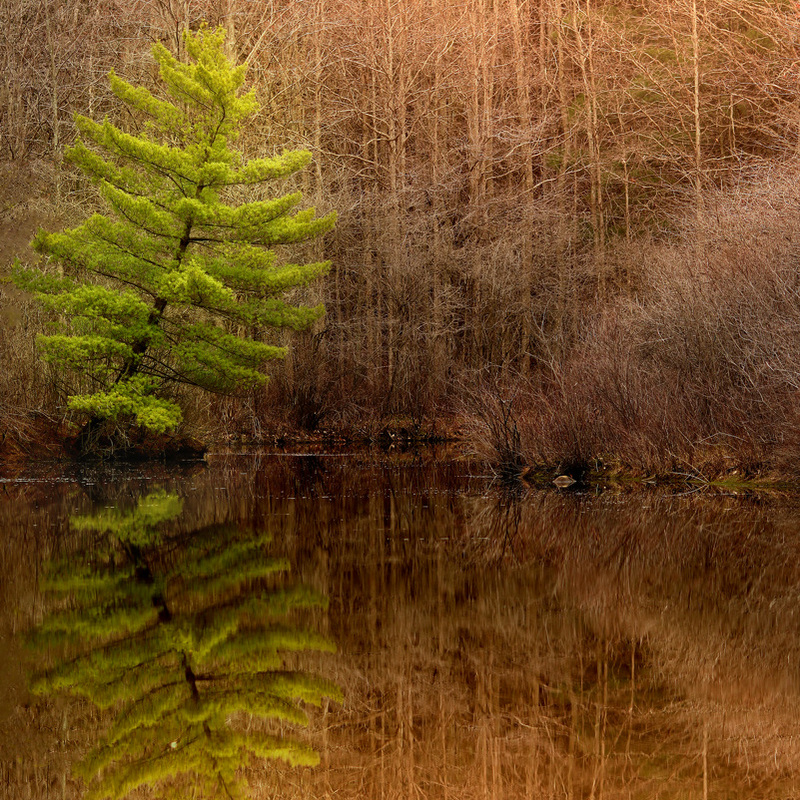 Liberty Park lake