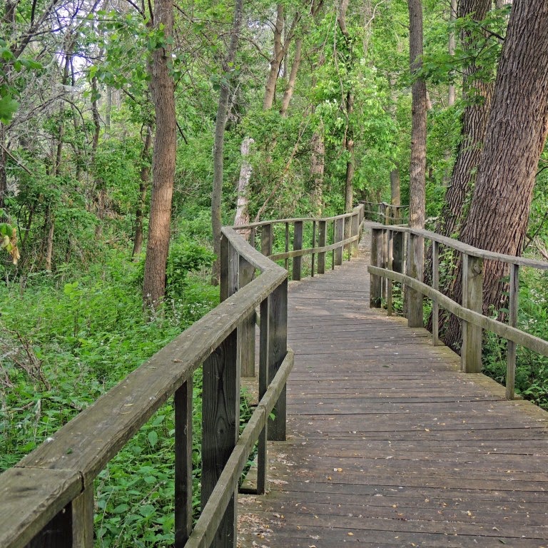 Magee Marsh Wildlife Area boardwalk