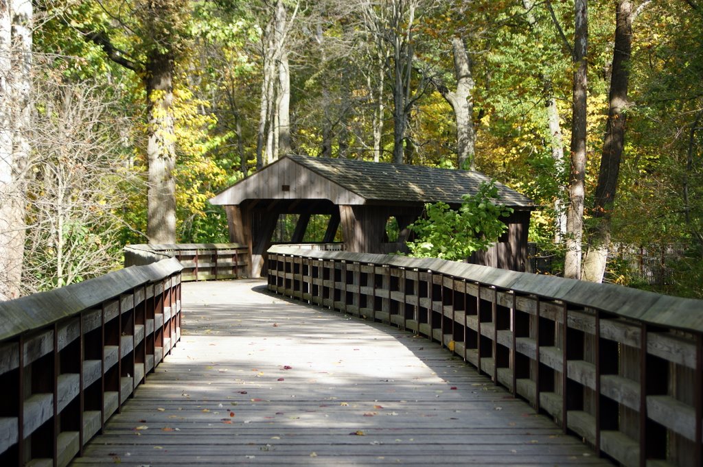 Wildwood Metropark boardwalk